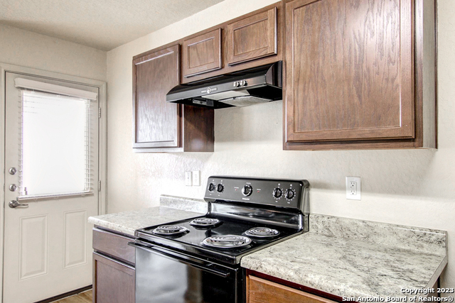 Image 3 of 17 For 7531 Spanish Dagger