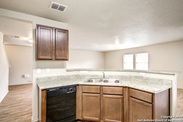 Image 4 of 17 For 7531 Spanish Dagger