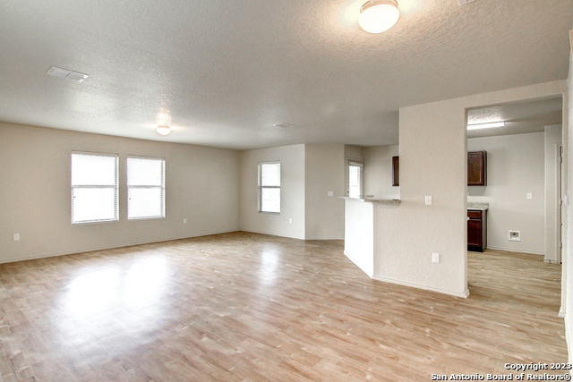 Image 5 of 17 For 7531 Spanish Dagger