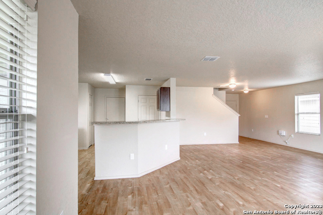 Image 6 of 17 For 7531 Spanish Dagger