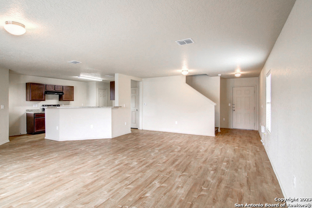 Image 7 of 17 For 7531 Spanish Dagger