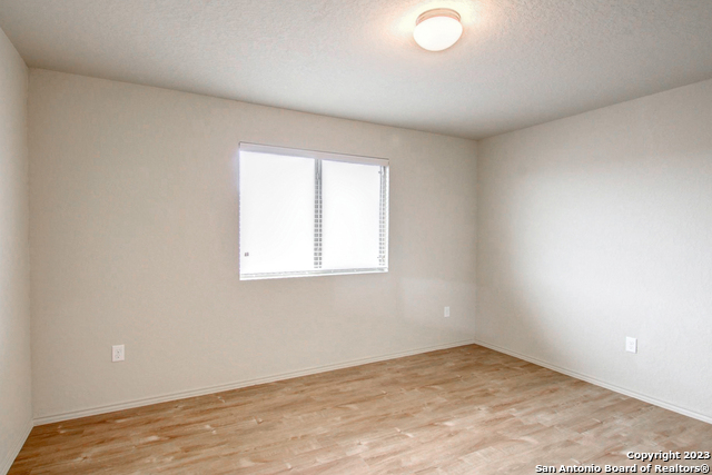 Image 8 of 17 For 7531 Spanish Dagger