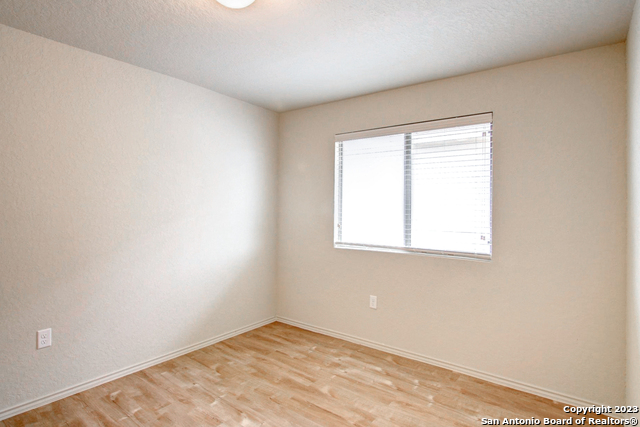 Image 9 of 17 For 7531 Spanish Dagger