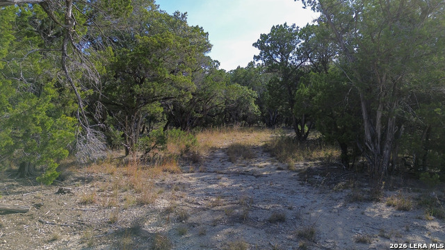 Image 24 of 29 For 9817 Park  