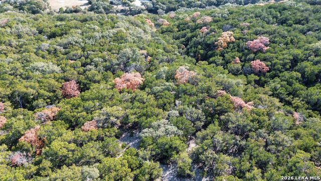 Image 28 of 29 For 9817 Park  