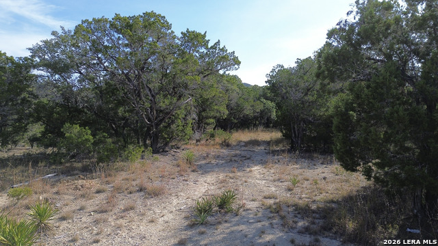 Image 5 of 29 For 9817 Park  