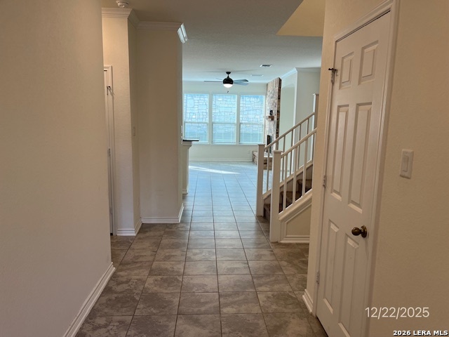 Image 6 of 8 For 29917 Sestra