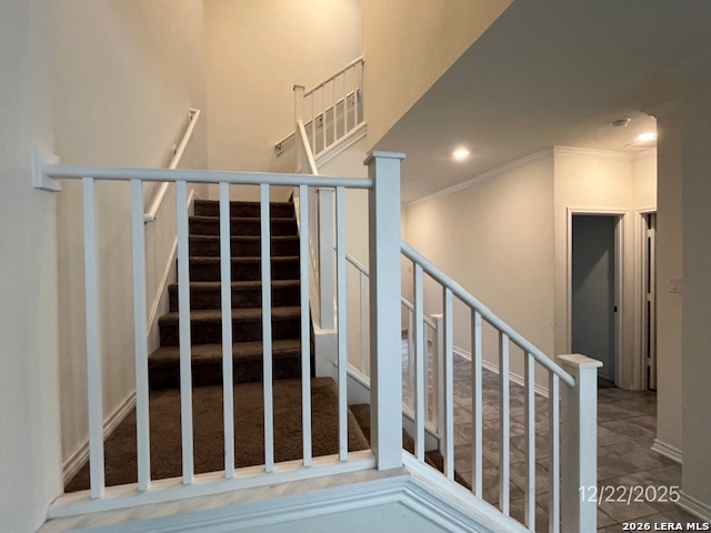 Image 7 of 8 For 29917 Sestra