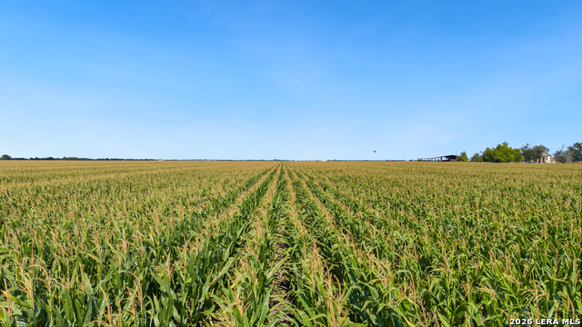 Image 5 of 26 For 4669 Fm 973  