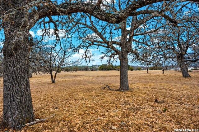 Image 6 of 11 For 64 Orchard Park Blvd