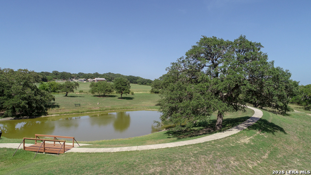 Image 13 of 16 For 255 Legacy  