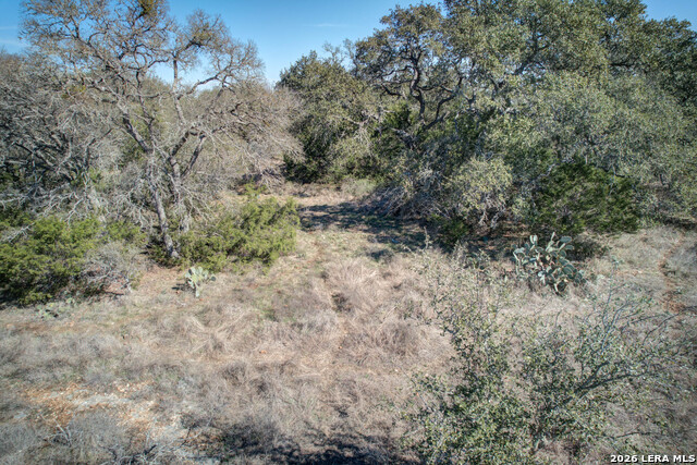 Image 6 of 16 For 255 Legacy  