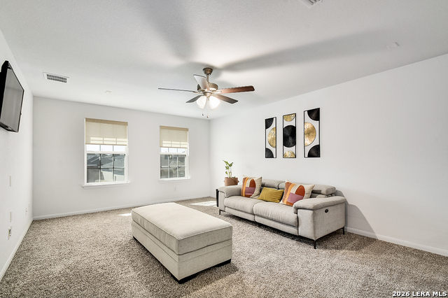 Image 25 of 35 For 8863 Grey Elm