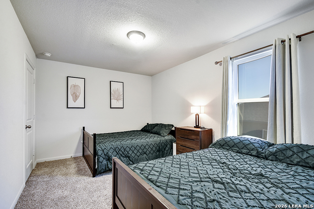 Image 30 of 35 For 8863 Grey Elm