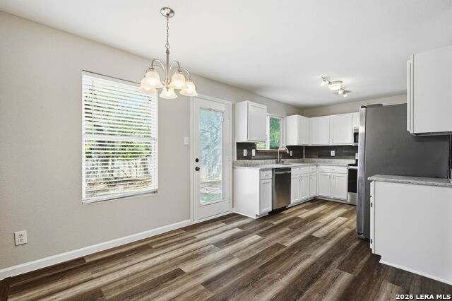 Image 12 of 33 For 25919 Torch Lily