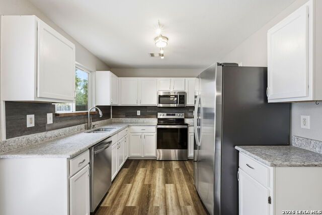 Image 13 of 33 For 25919 Torch Lily