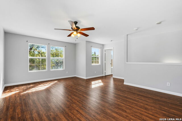 Image 17 of 33 For 25919 Torch Lily