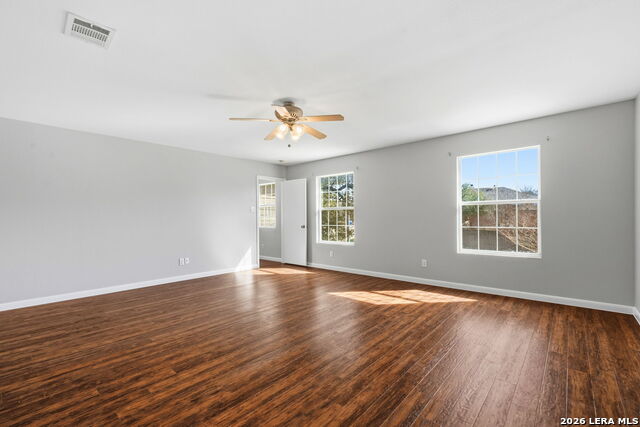 Image 19 of 33 For 25919 Torch Lily