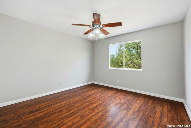 Image 22 of 33 For 25919 Torch Lily