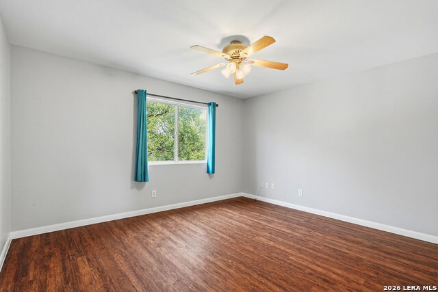 Image 24 of 33 For 25919 Torch Lily