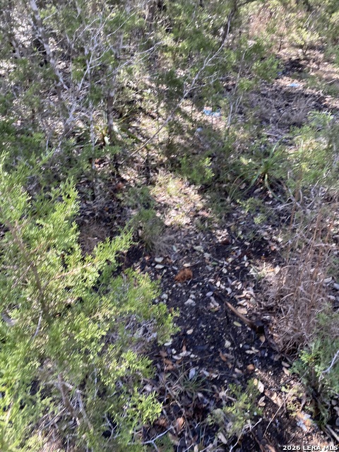 Listing photo id 2 for 359 Moosehead