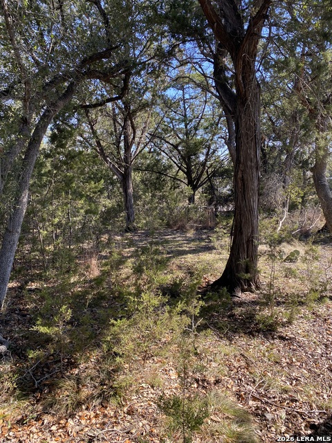 Listing photo id 3 for 359 Moosehead