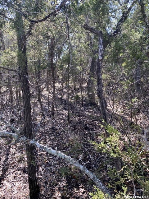 Listing photo id 4 for 359 Moosehead