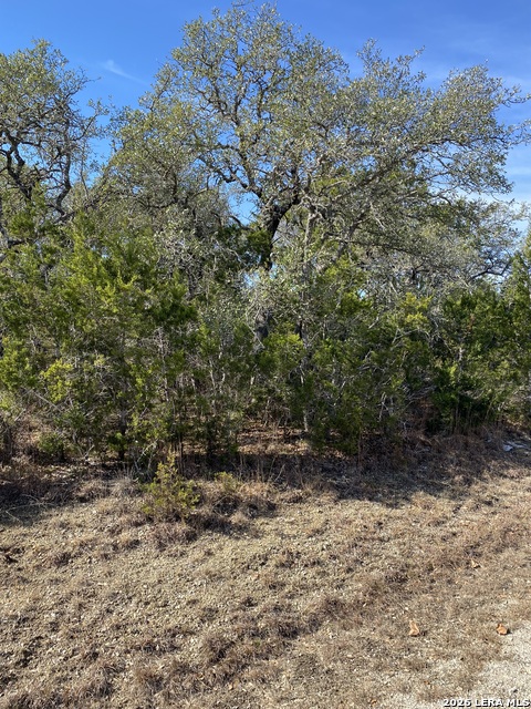 Listing photo id 5 for 359 Moosehead