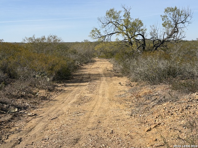 Image 13 of 27 For Tbd Cr 2537-moore Hollow Road