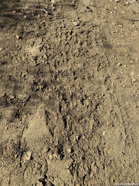 Image 19 of 27 For Tbd Cr 2537-moore Hollow Road