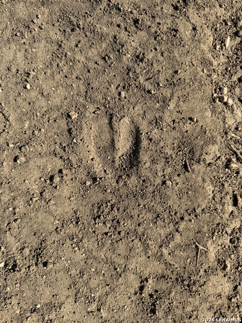 Image 20 of 27 For Tbd Cr 2537-moore Hollow Road