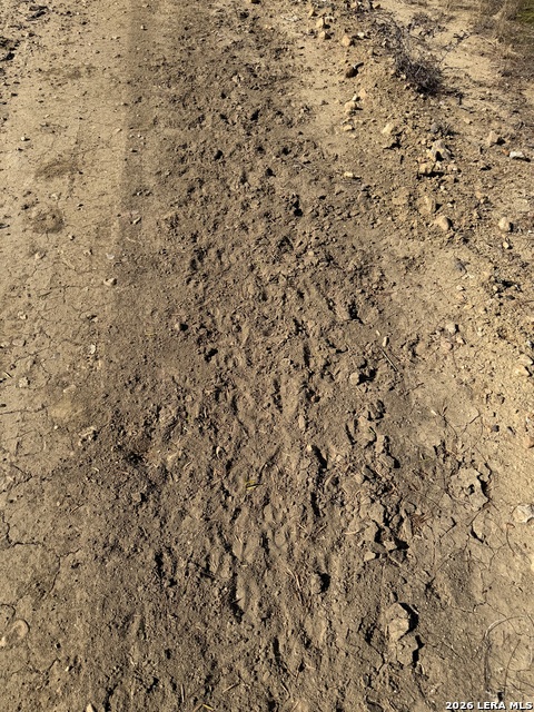 Image 3 of 27 For Tbd Cr 2537-moore Hollow Road