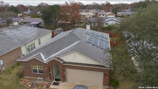 Image 41 of 43 For 532 Rooster  