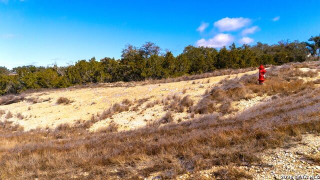 Image 3 of 15 For 34704 Mayer Oaks