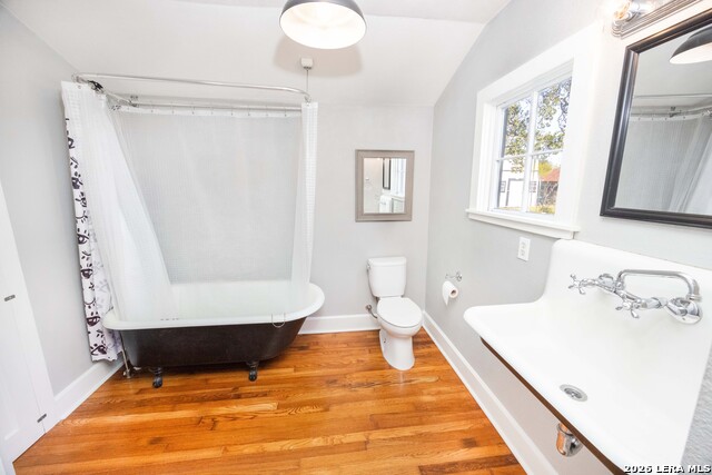 Image 8 of 30 For 7150 County Road 429