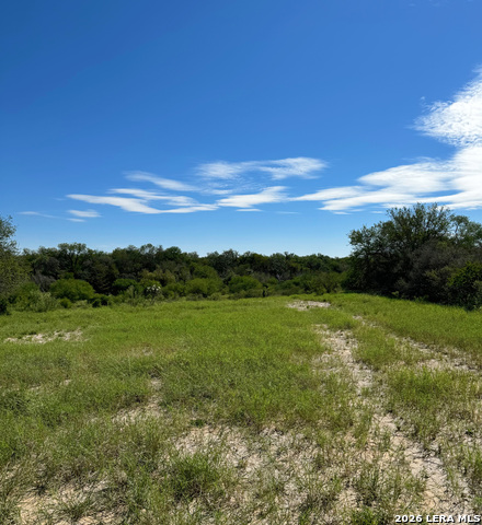 Image 10 of 40 For 1816 Winston