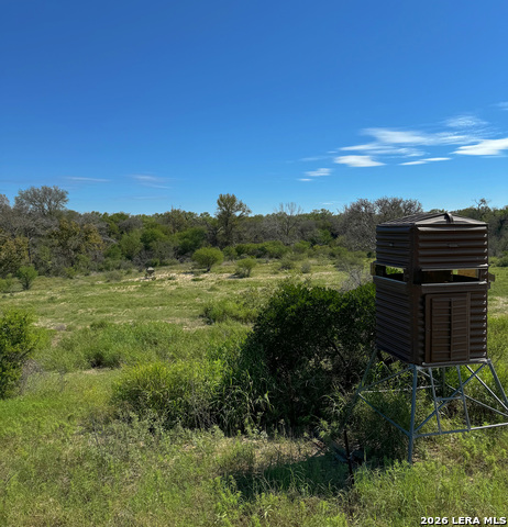 Image 11 of 40 For 1816 Winston