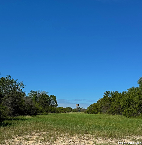 Image 13 of 40 For 1816 Winston