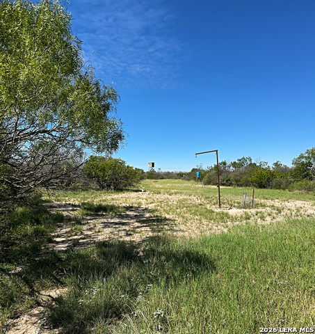 Image 9 of 40 For 1816 Winston