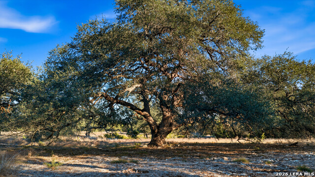 Image 38 of 40 For 28749 Countryside