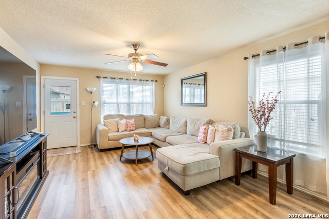 Image 11 of 35 For 9003 Arabian King