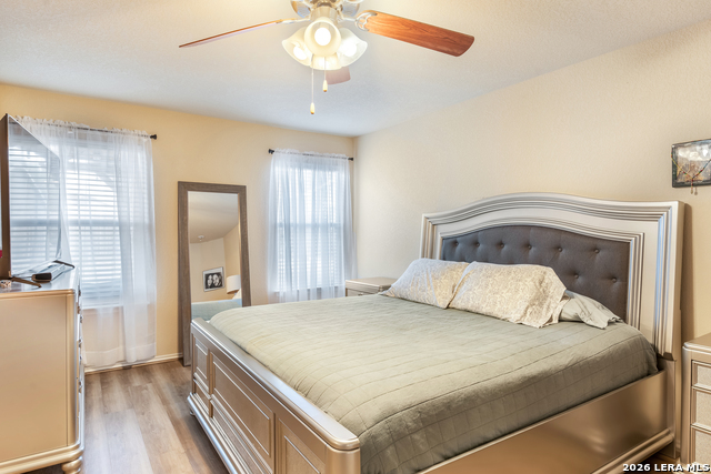 Image 15 of 35 For 9003 Arabian King