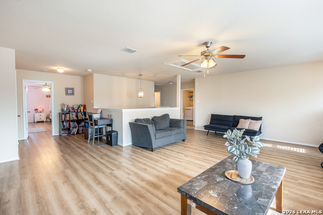 Image 22 of 35 For 9003 Arabian King