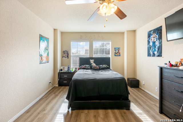 Image 28 of 35 For 9003 Arabian King