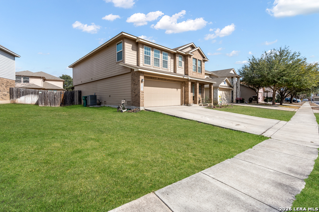 Image 3 of 35 For 9003 Arabian King