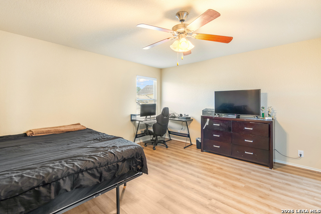 Image 32 of 35 For 9003 Arabian King