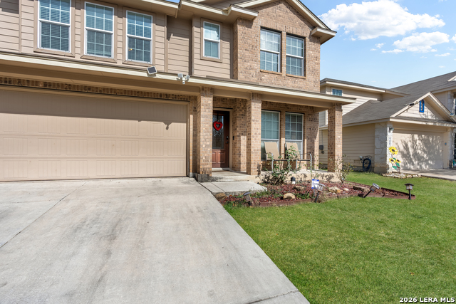 Image 4 of 35 For 9003 Arabian King