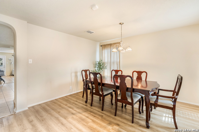 Image 5 of 35 For 9003 Arabian King