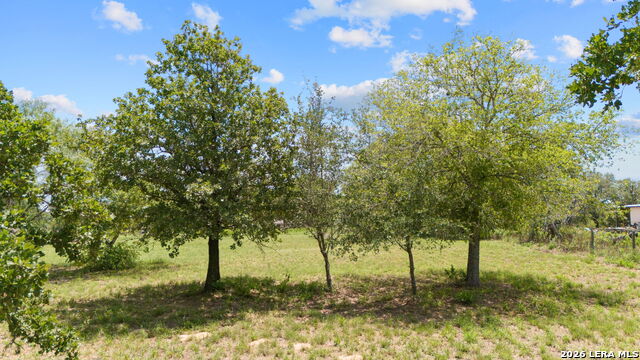 Image 19 of 23 For 271 Hermosa  