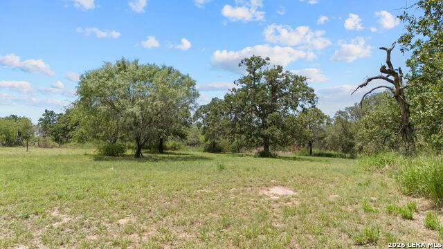 Image 20 of 23 For 271 Hermosa  